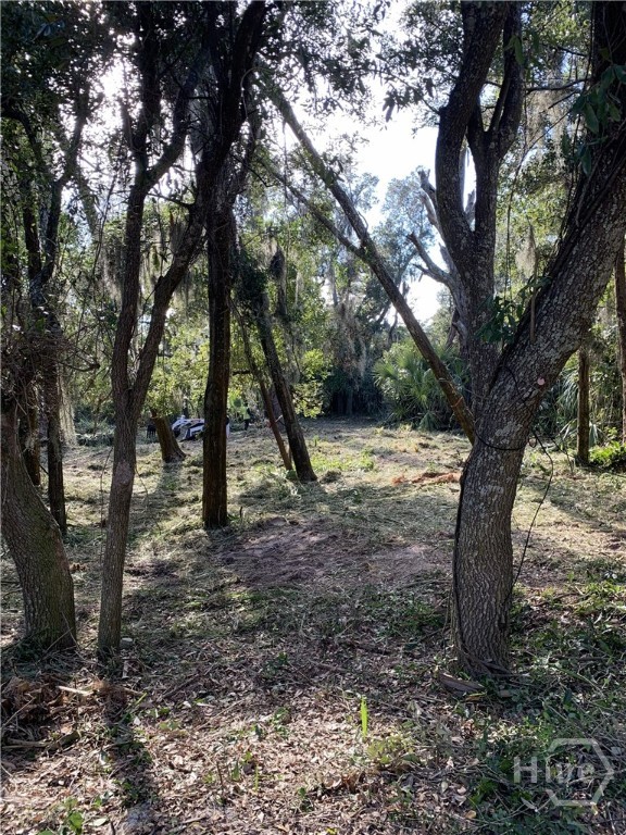 0 Mckenzie Avenue Property Photo 6