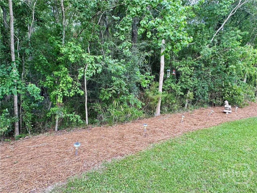 436 Governor Treutlen Circle Property Photo 36