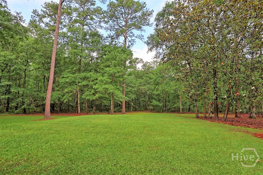 120 Lake Tomacheechee Drive Property Photo 41