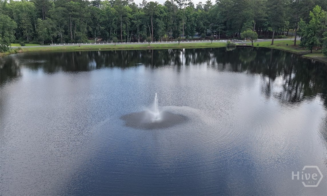 120 Lake Tomacheechee Drive Property Photo 43
