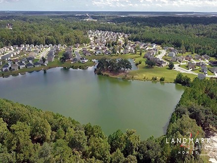 550 Sessile Oak Drive Property Photo 6
