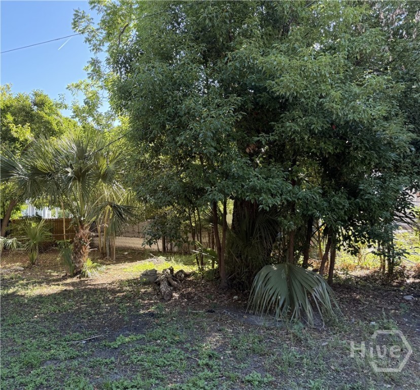 0 E 39th Street Property Photo 4