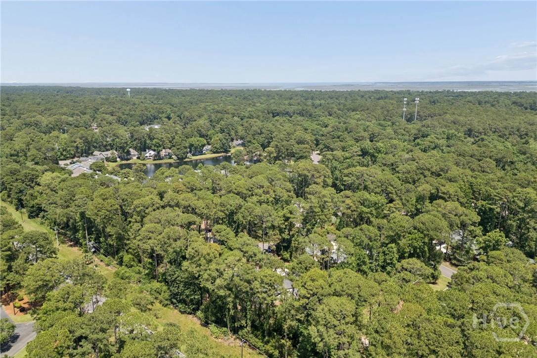 3 Buckhead Lane Property Photo 74