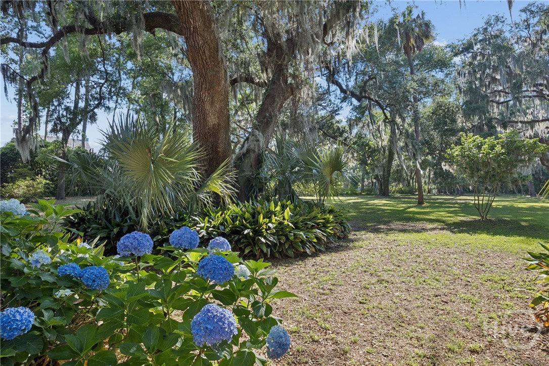 5027 Taylor Road Property Photo 54