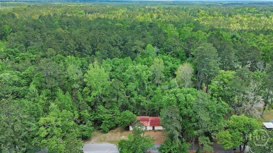 247 Cedar Lane Property Photo 3