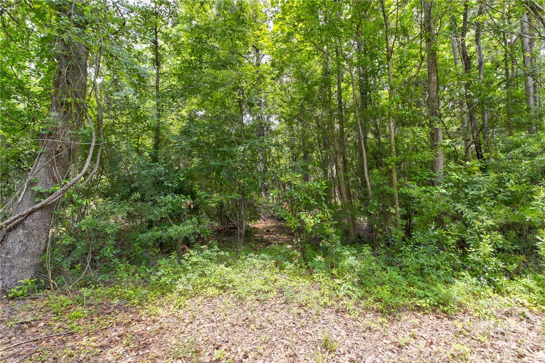 247 Cedar Lane Property Photo 22