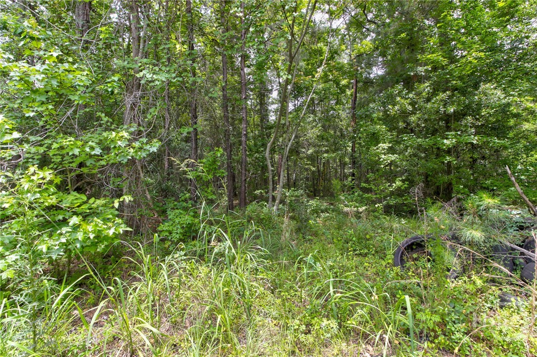 247 Cedar Lane Property Photo 23
