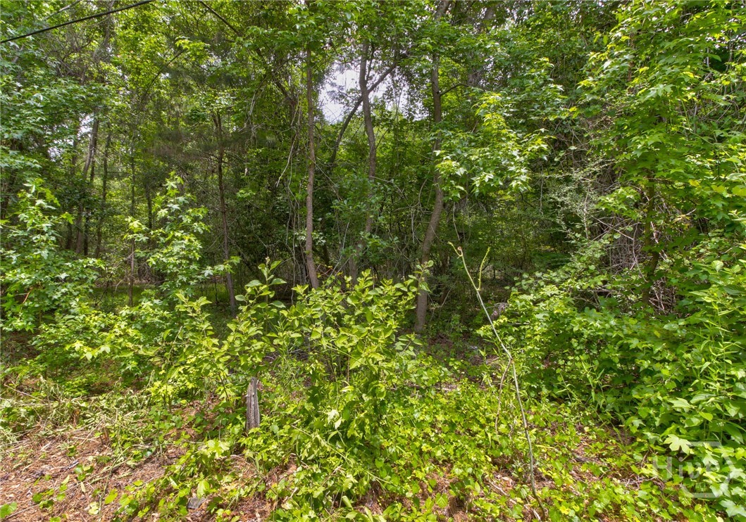 247 Cedar Lane Property Photo 24