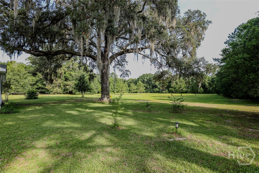1492 Sand Hill Road Property Photo 6