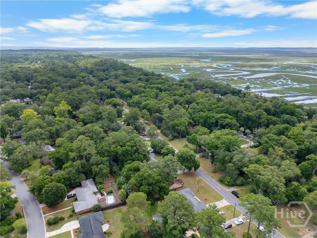 1723 Walthour Road Property Photo 49