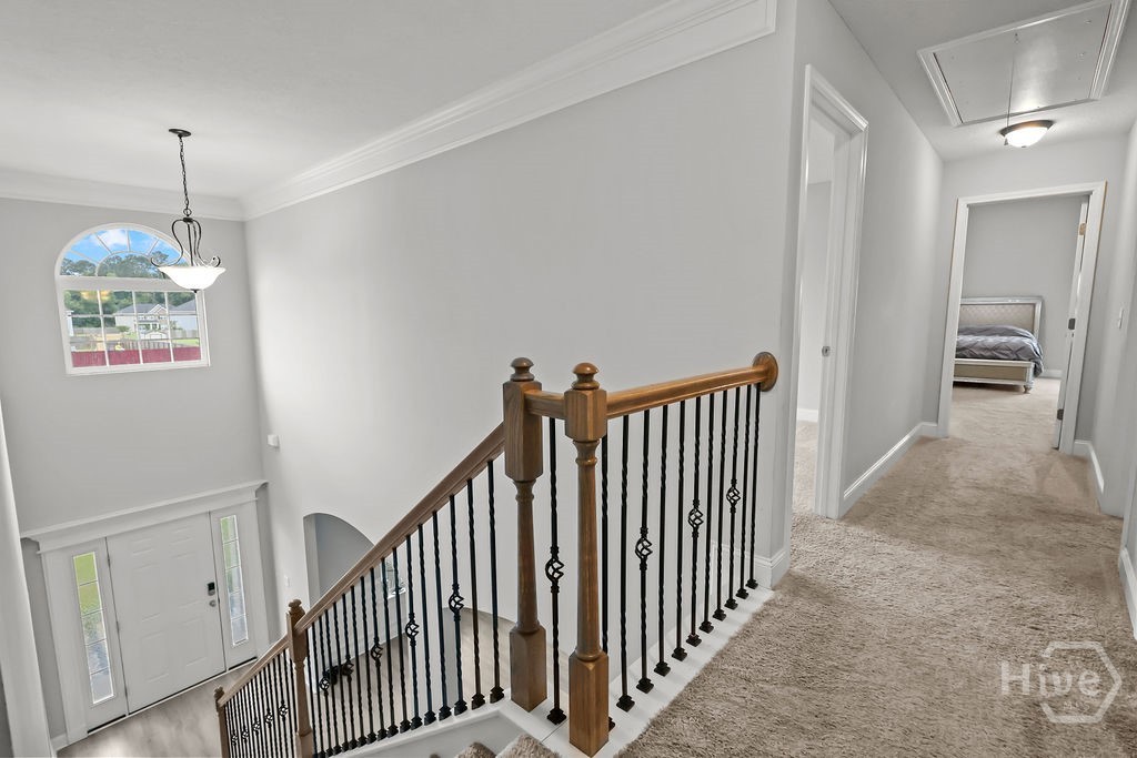 135 Brookhaven Loop Property Photo 29