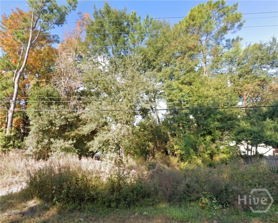 0 Johnny Mercer Boulevard Property Photo 1