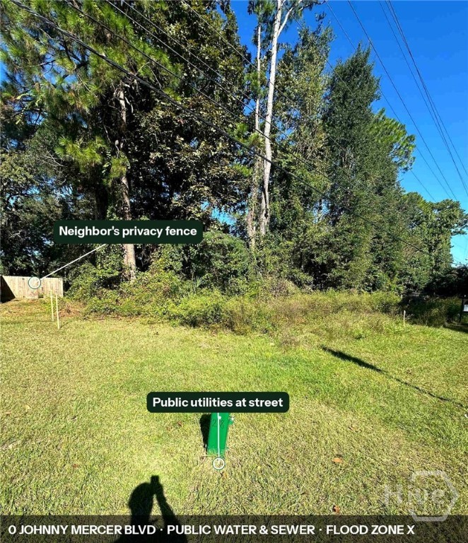 0 Johnny Mercer Boulevard Property Photo 3