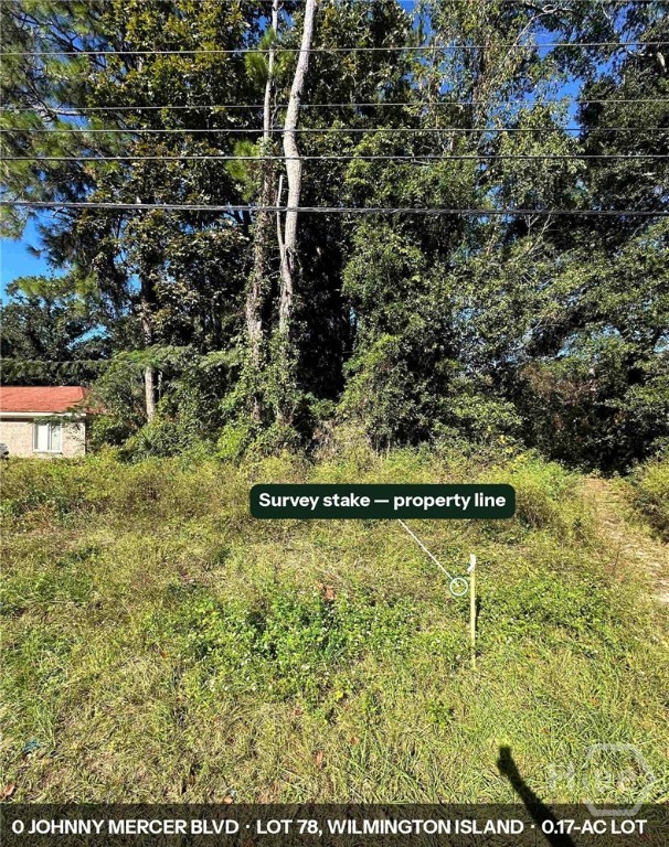 0 Johnny Mercer Boulevard Property Photo 4