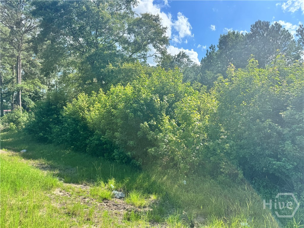 0 Second Street Property Photo 2