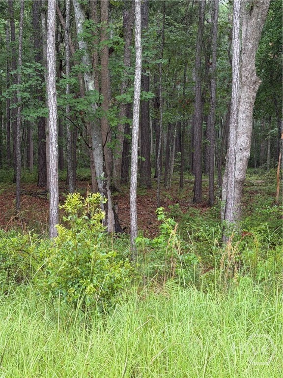 157 Wood Haven Lane Property Photo 1