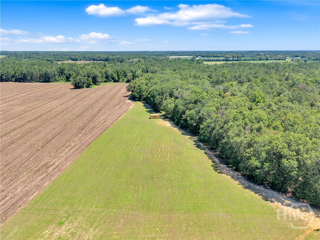 2997 Jason Franklin Road Property Photo 50