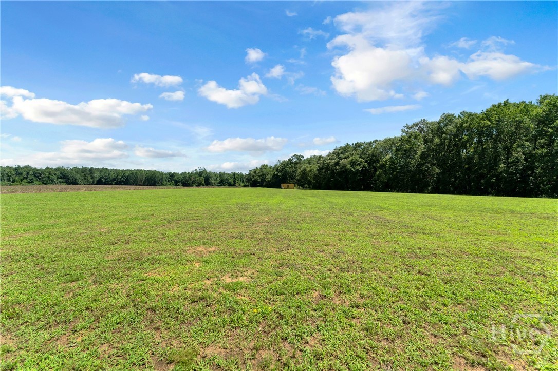 2997 Jason Franklin Road Property Photo 60