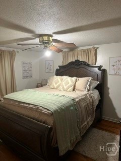 206 Cherry Street Property Photo 17