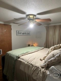206 Cherry Street Property Photo 18