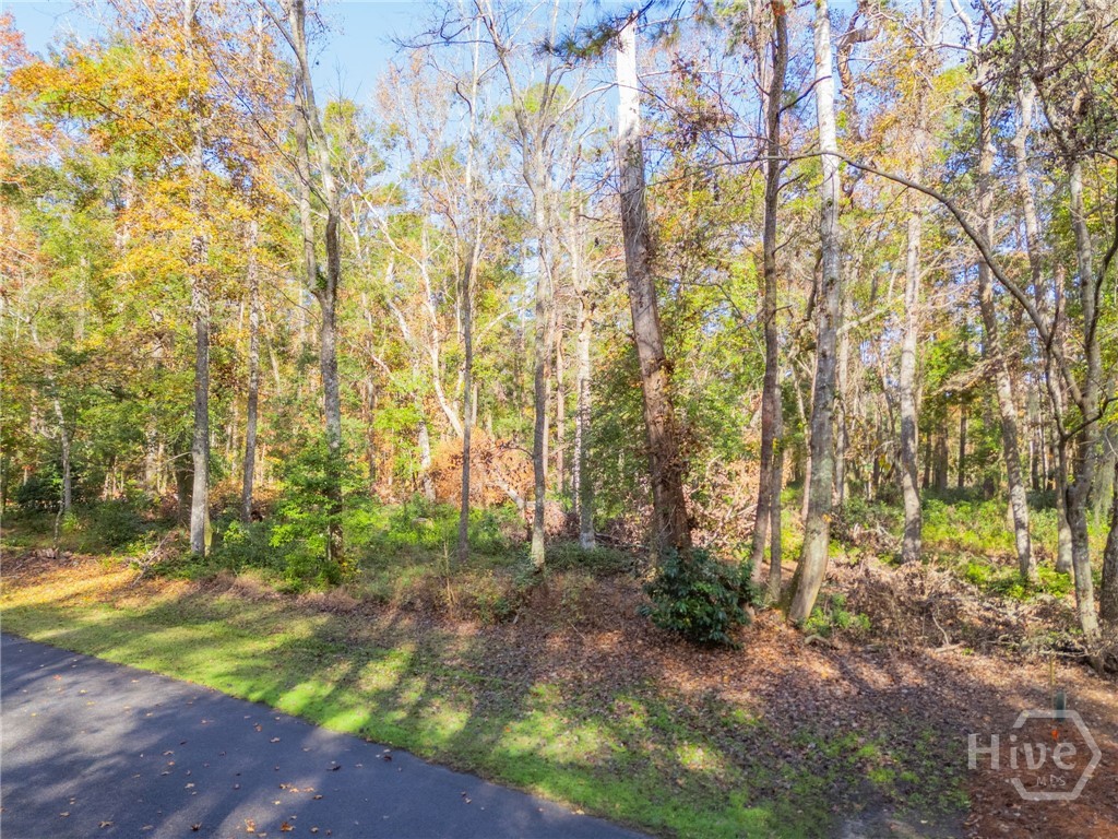 204 Dogwood Way Property Photo 7