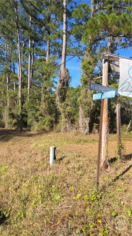 14089 Ga Hwy 251 Property Photo 1