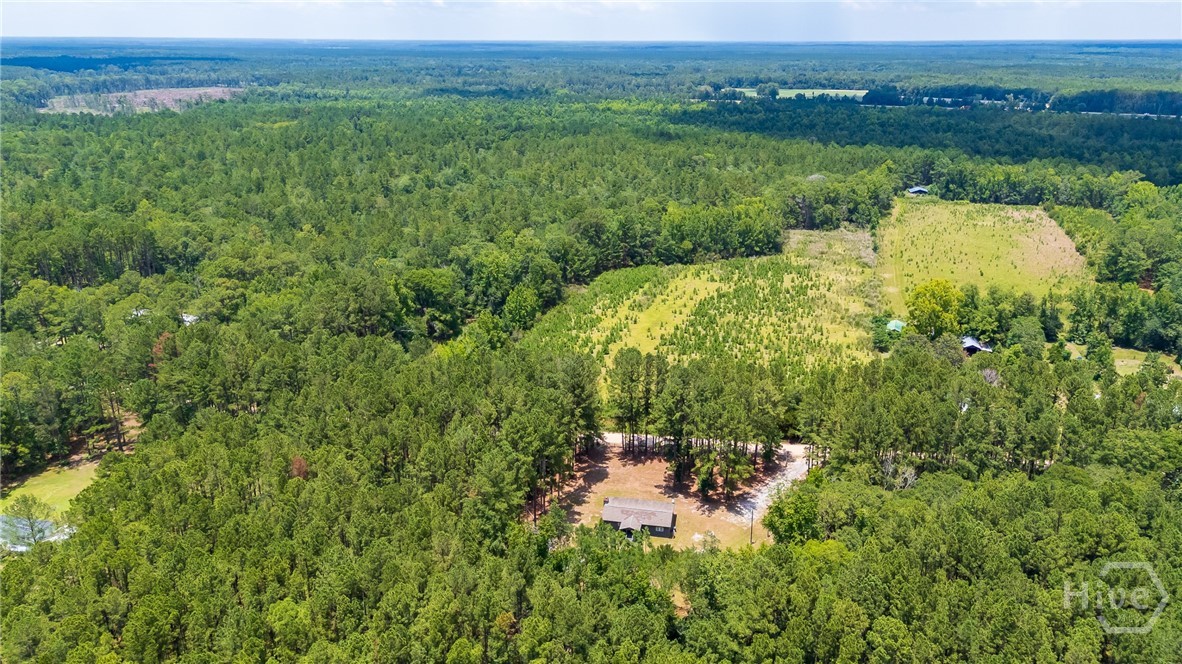4112 Seed Tick Road Property Photo 25