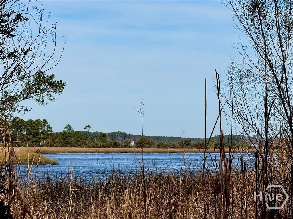 Lot 58 Jerico Marsh Road Property Photo 2