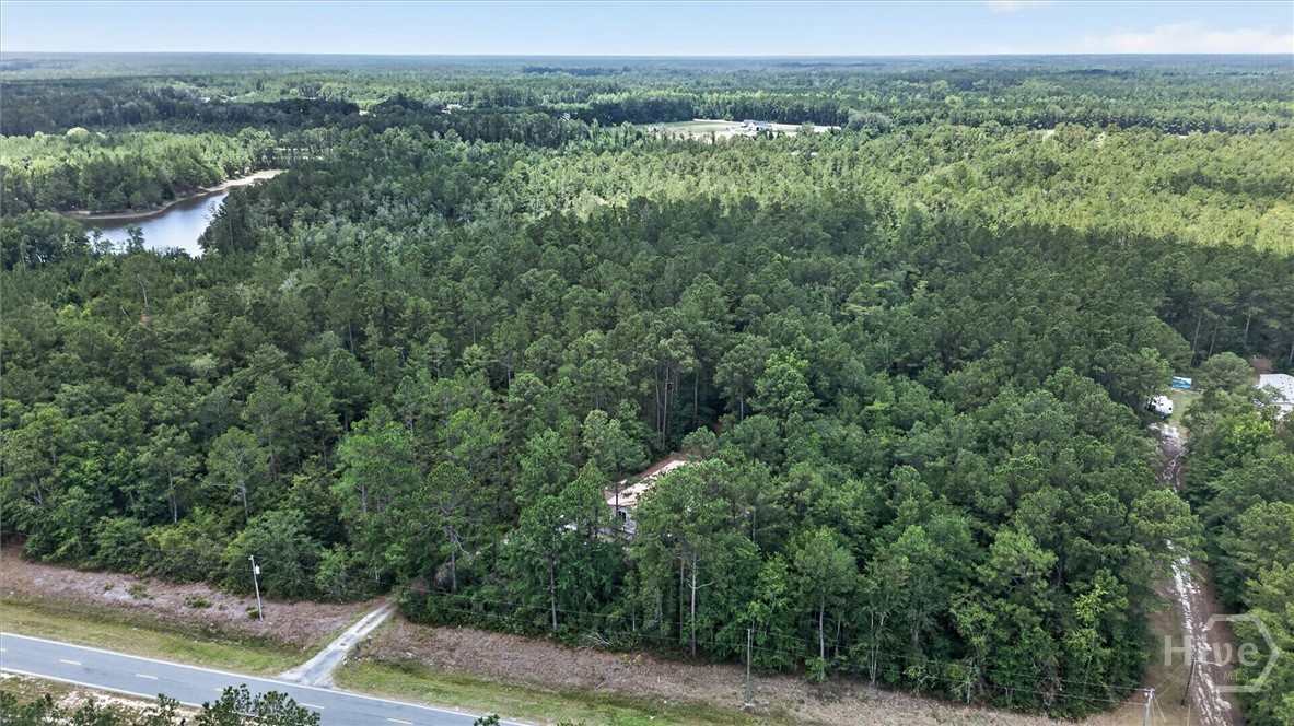 27418 Ga-46 Property Photo 31