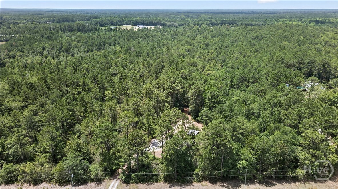27418 Ga-46 Property Photo 38