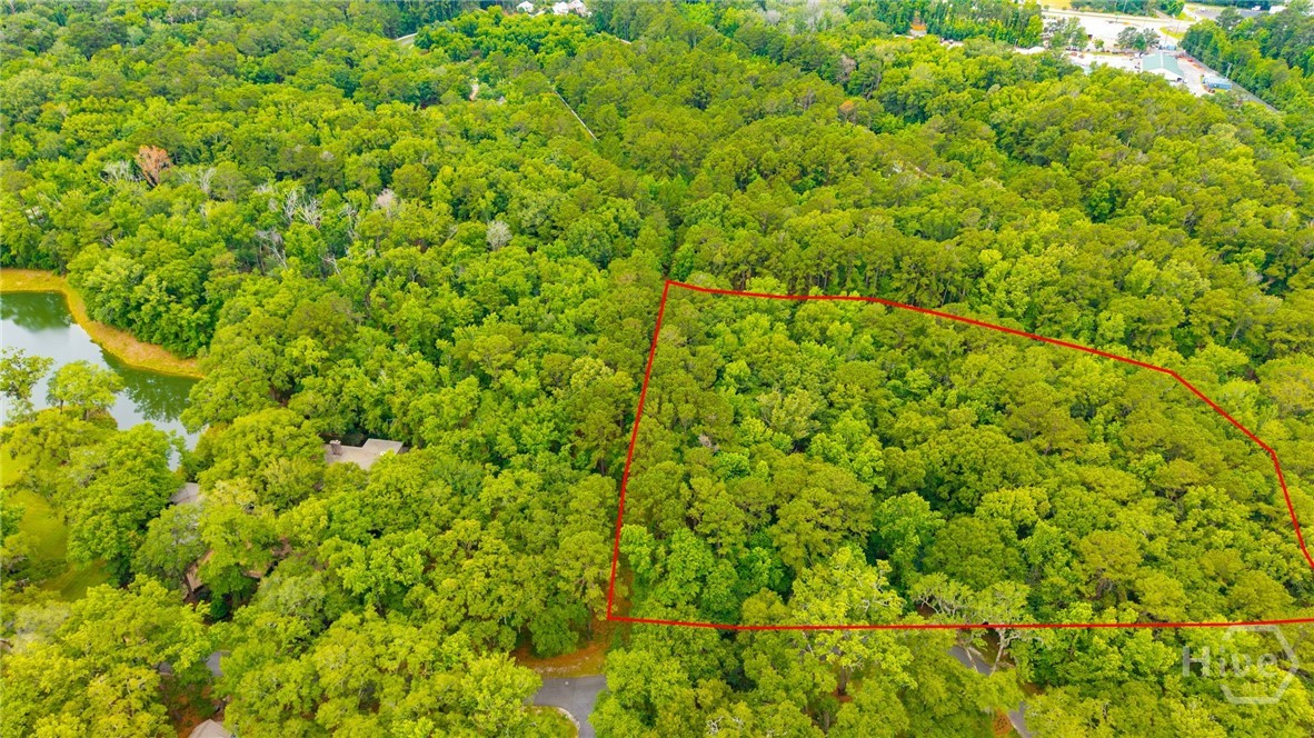 1300 Silk Hope Drive Property Photo 3