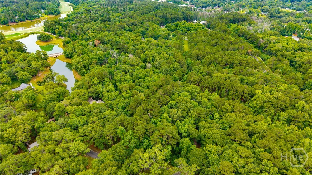 1300 Silk Hope Drive Property Photo 6