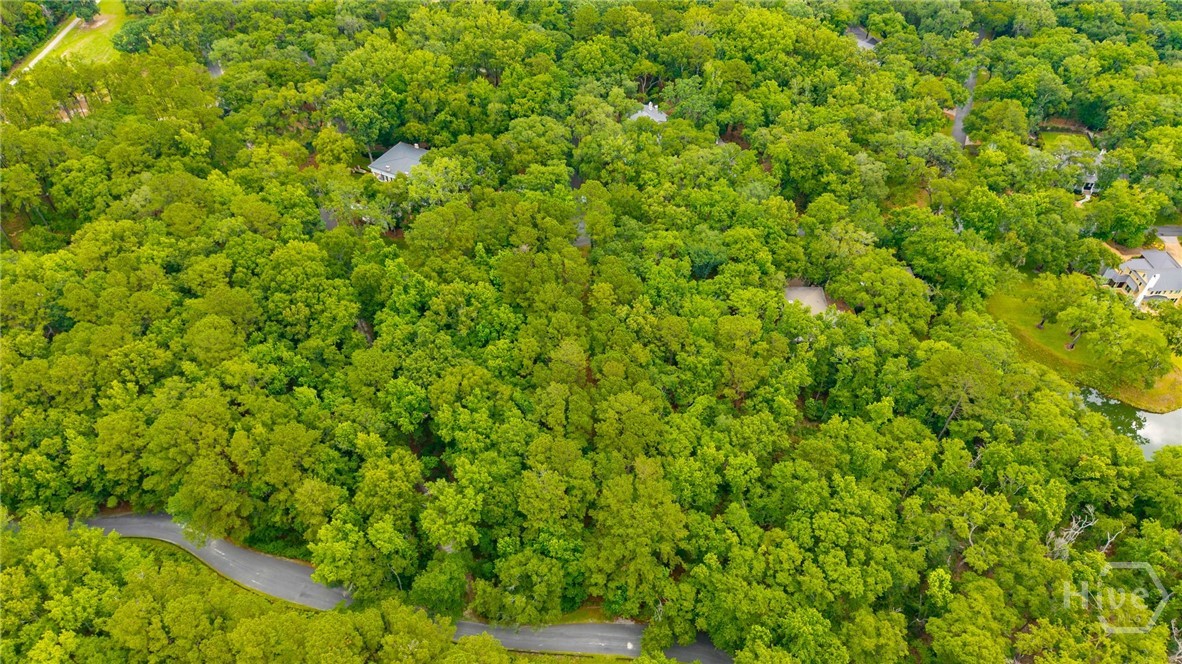 1300 Silk Hope Drive Property Photo 8