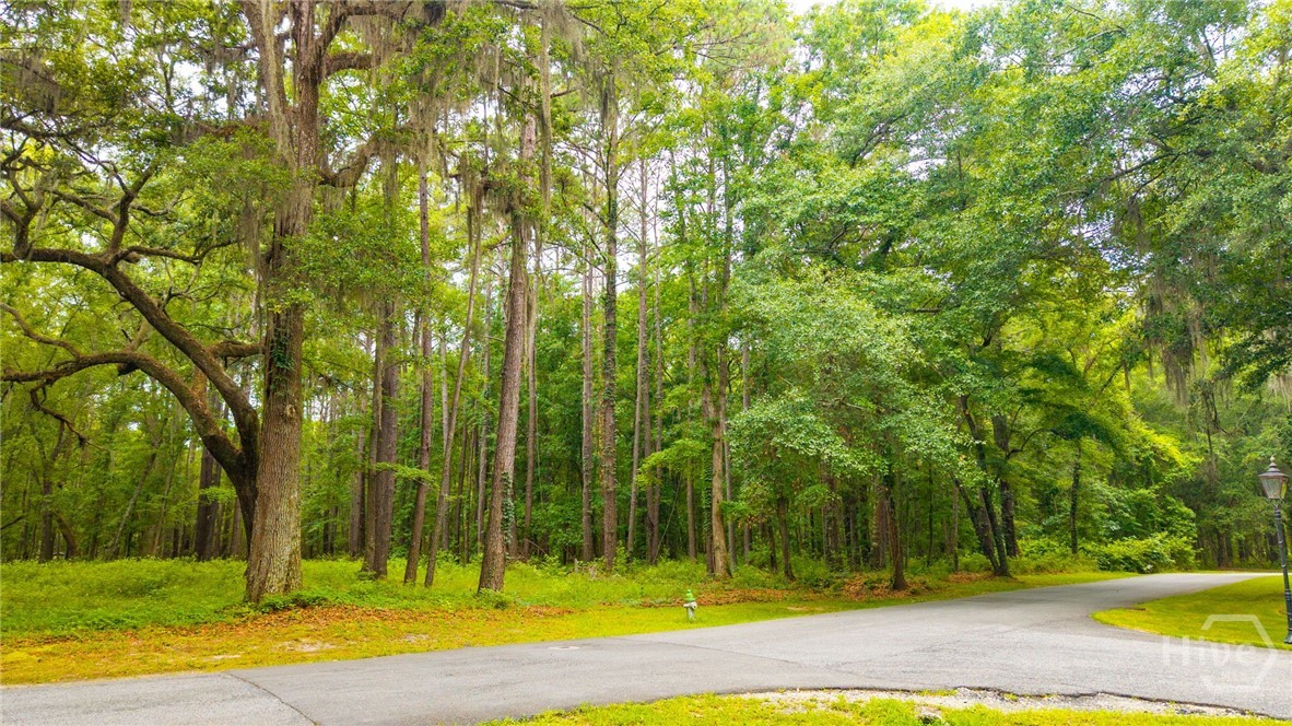 1300 Silk Hope Drive Property Photo 9