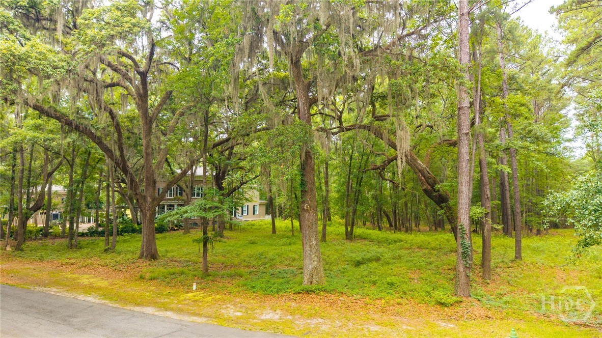 1300 Silk Hope Drive Property Photo 10