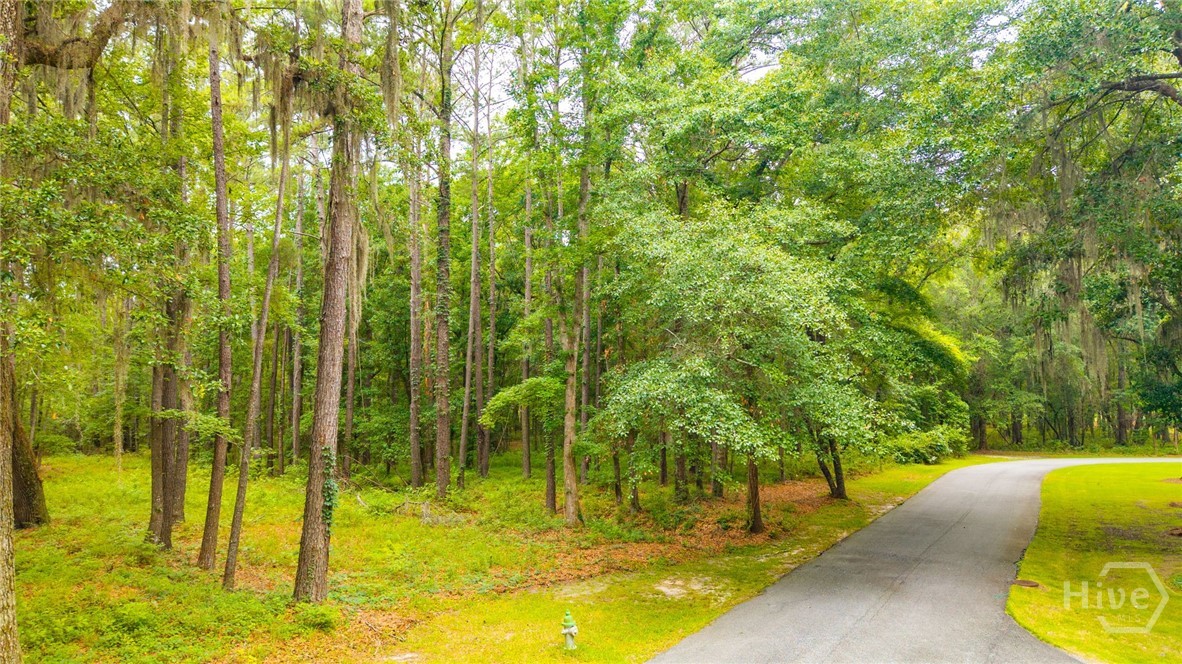 1300 Silk Hope Drive Property Photo 11