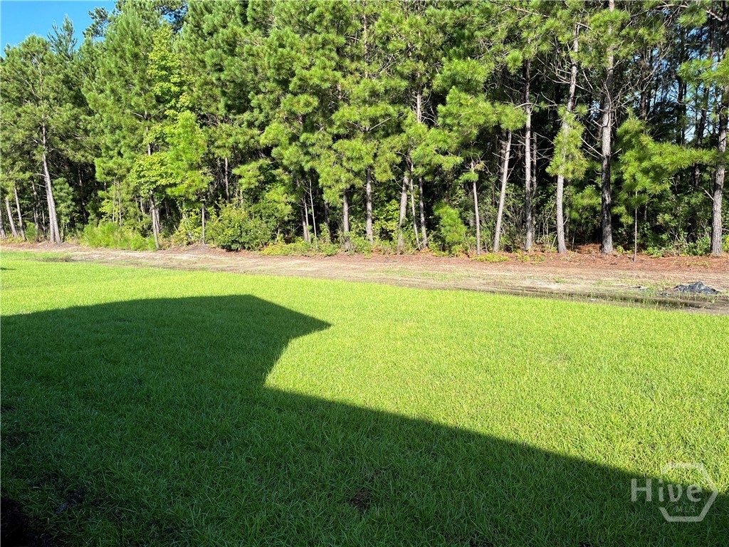 609 Longleaf Drive Property Photo 30
