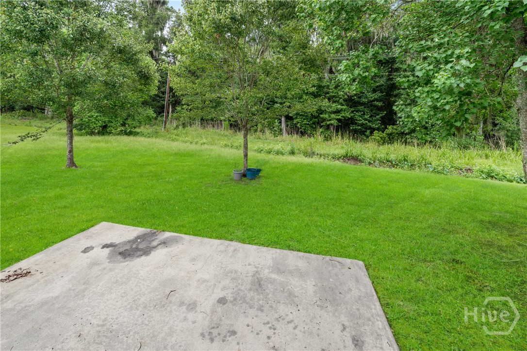 341 Brighton Woods Drive Property Photo 25