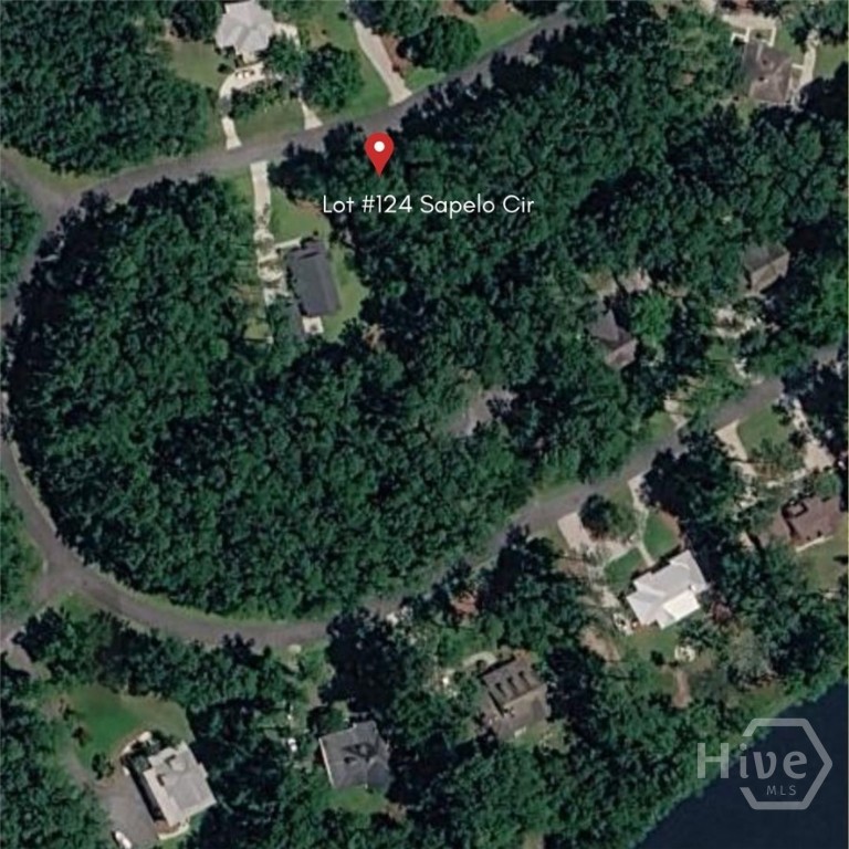 Lot 124 Sapelo Circle Property Photo 2