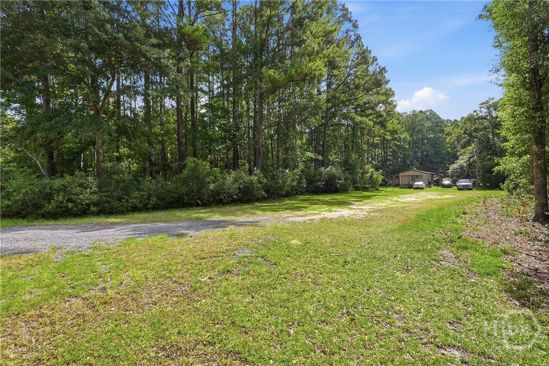 113 Ogeechee River Drive Property Photo 2