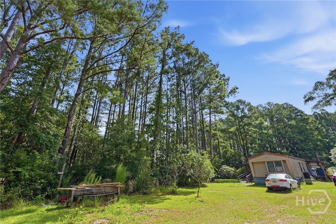 113 Ogeechee River Drive Property Photo 11