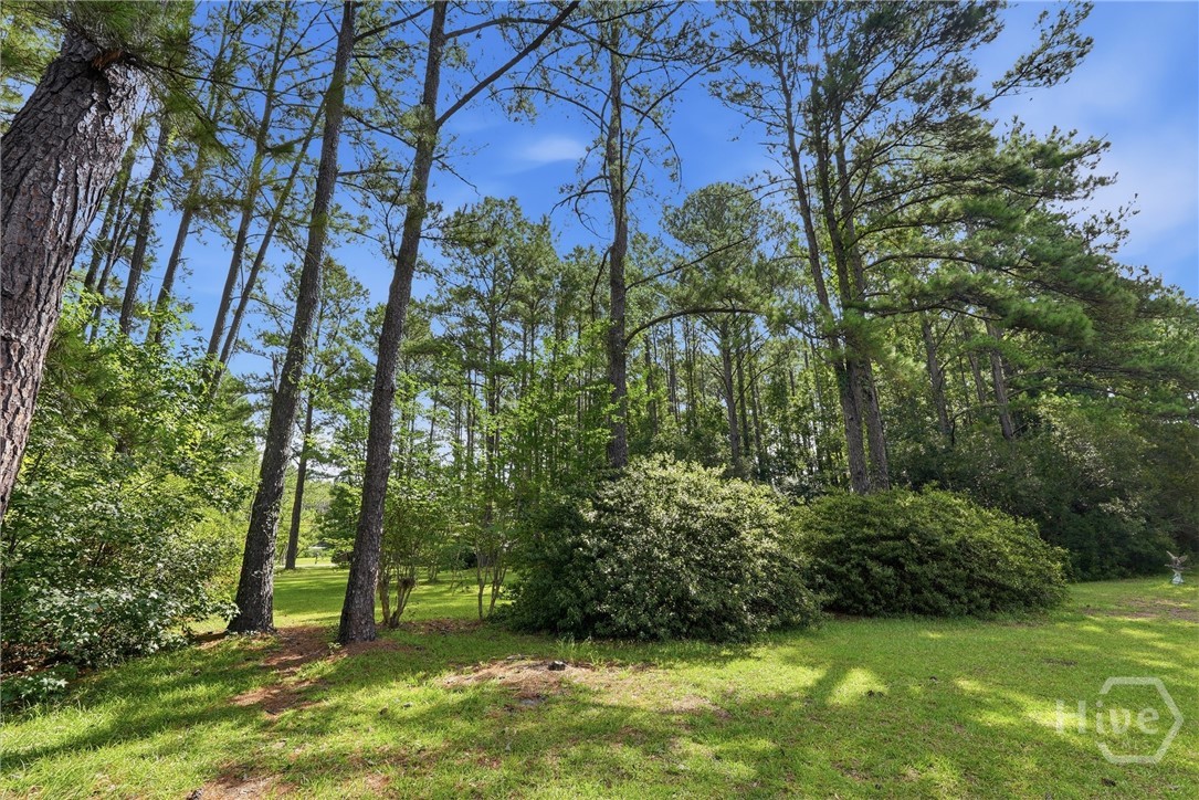 113 Ogeechee River Drive Property Photo 12