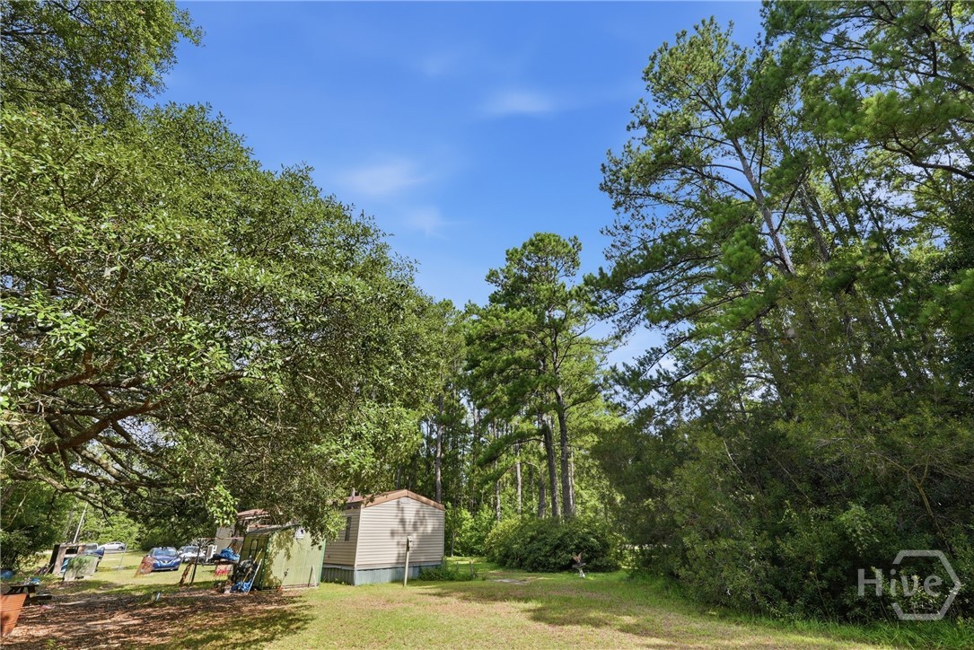 113 Ogeechee River Drive Property Photo 15