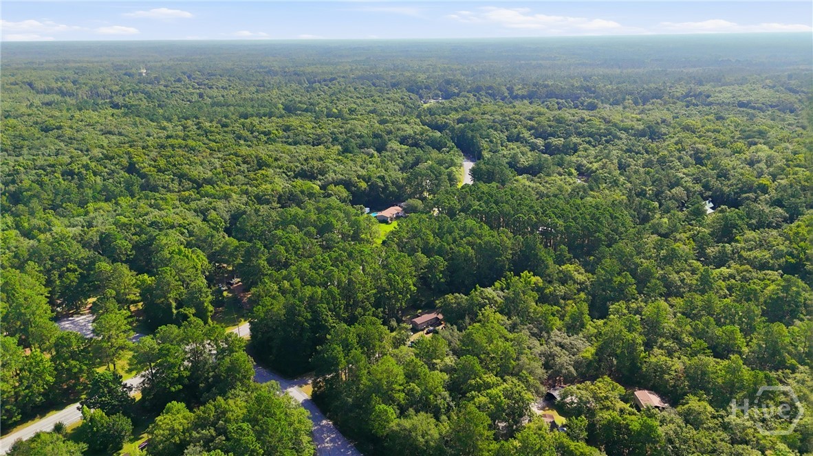113 Ogeechee River Drive Property Photo 19