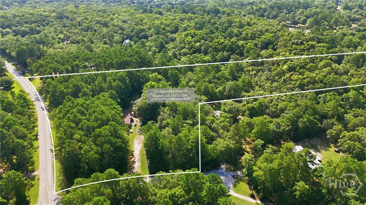 113 Ogeechee River Drive Property Photo 21