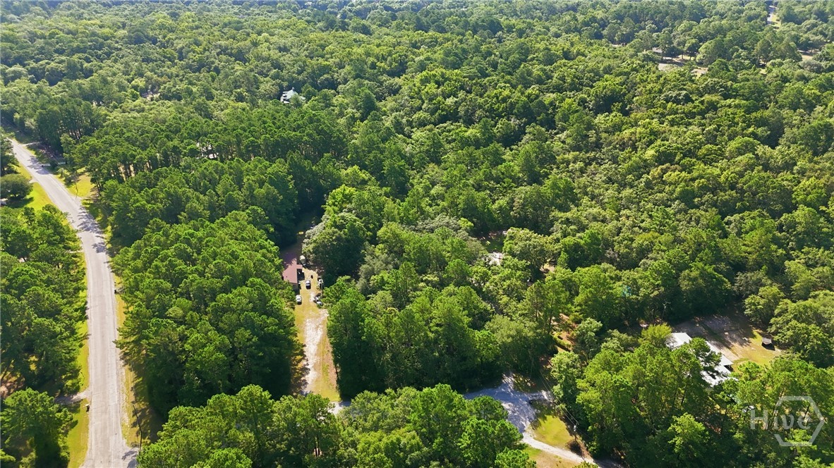113 Ogeechee River Drive Property Photo 22