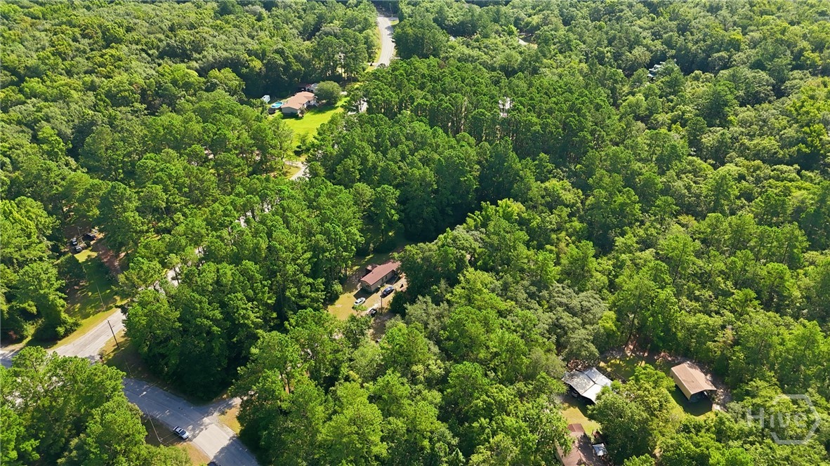 113 Ogeechee River Drive Property Photo 24