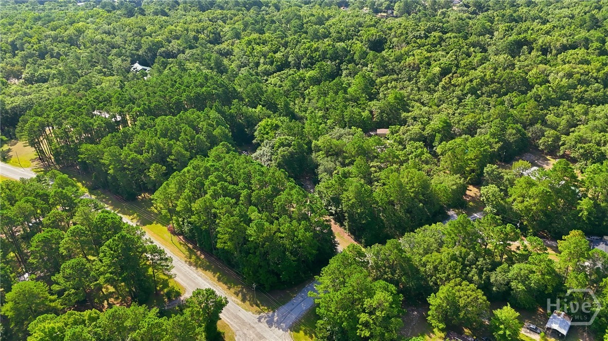113 Ogeechee River Drive Property Photo 26