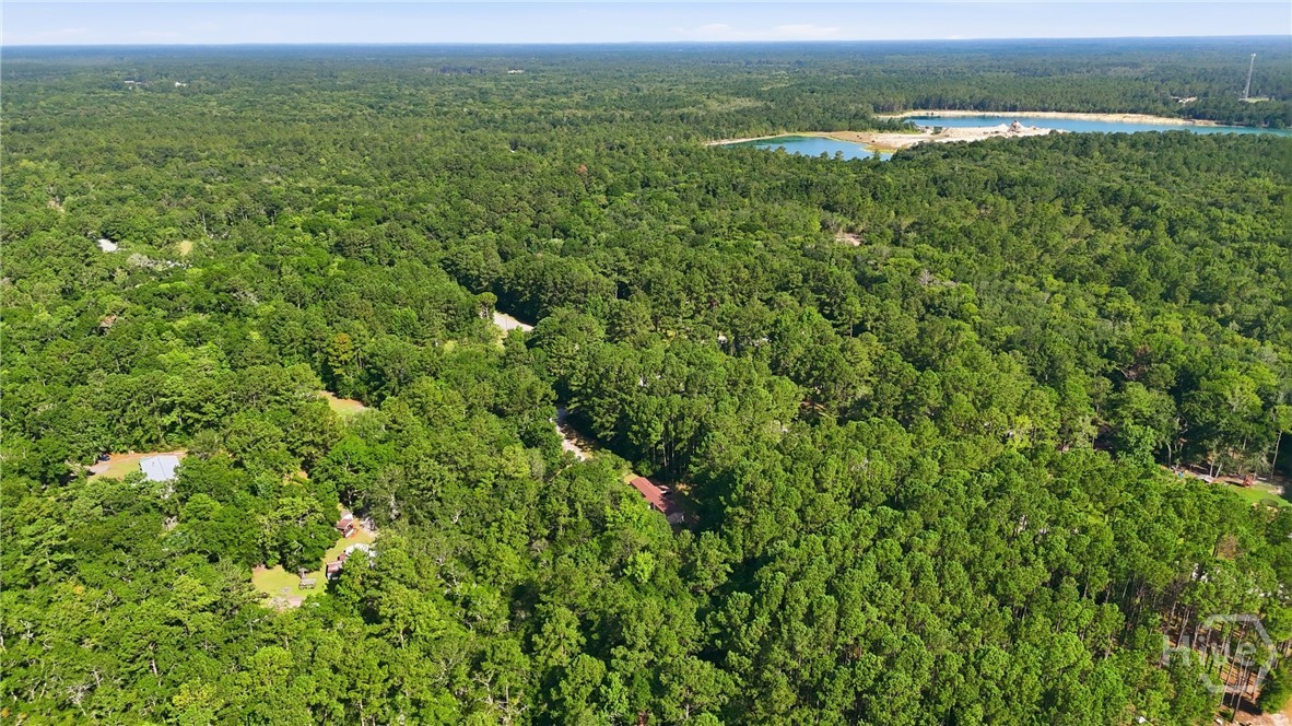 113 Ogeechee River Drive Property Photo 27