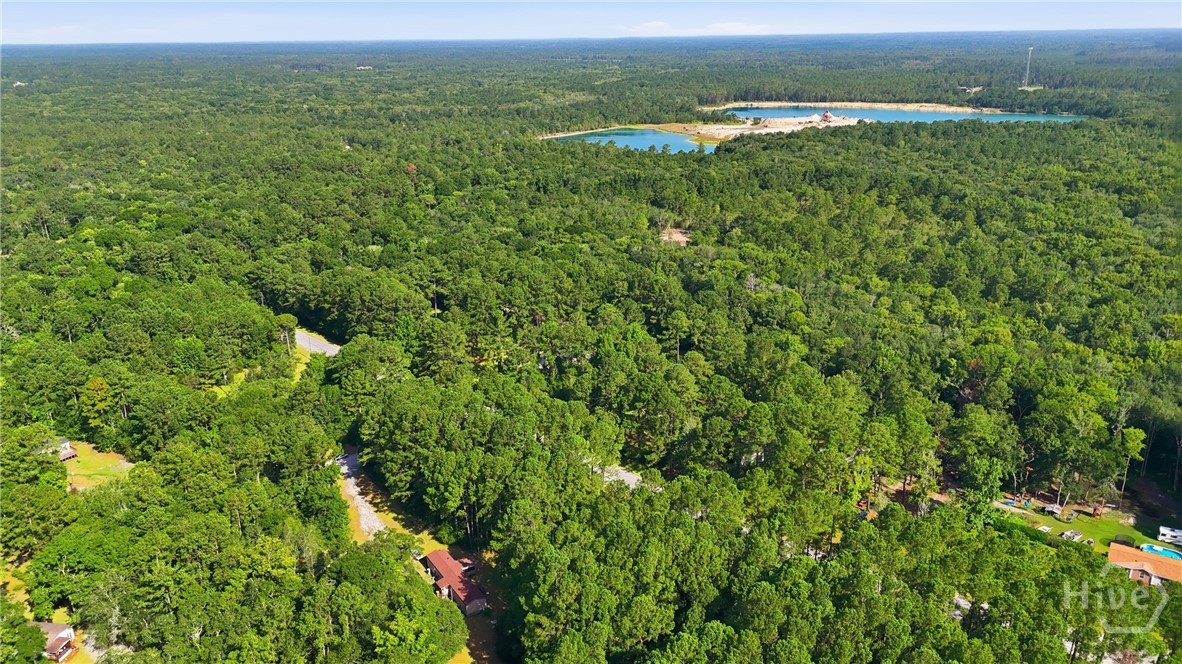 113 Ogeechee River Drive Property Photo 28